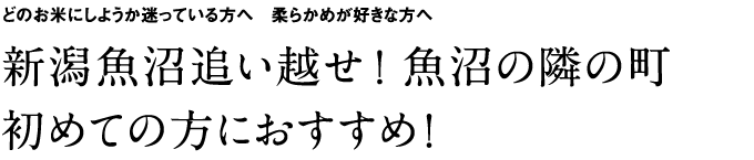 �V�������ǂ��z���I �����ׂ̗̒��@���߂Ă̕��ɂ������߁I