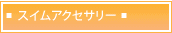 �X�C���A�N�Z�T���[